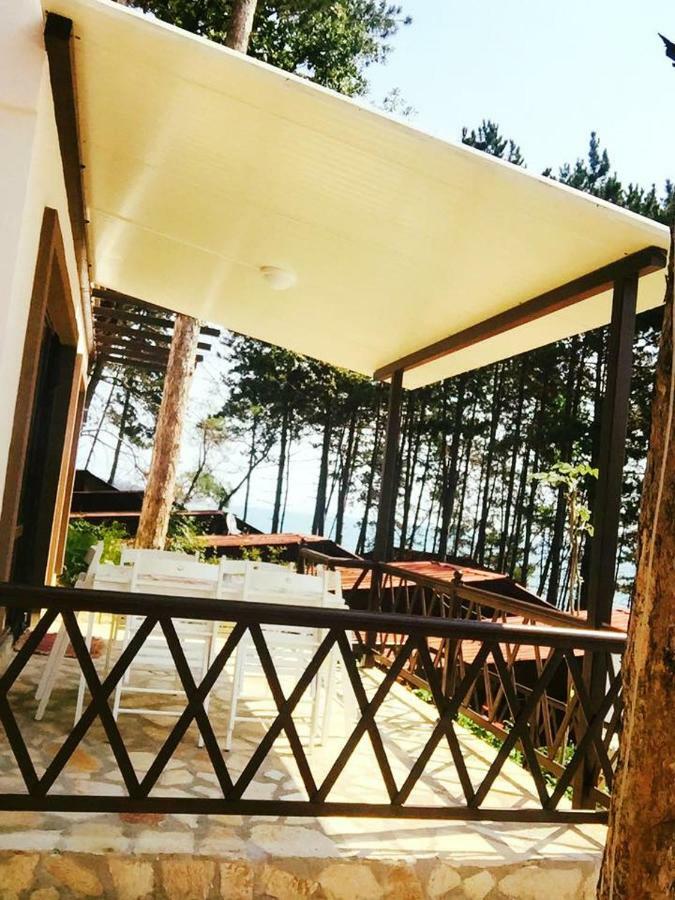 Dream View Hotel Бяла Екстериор снимка