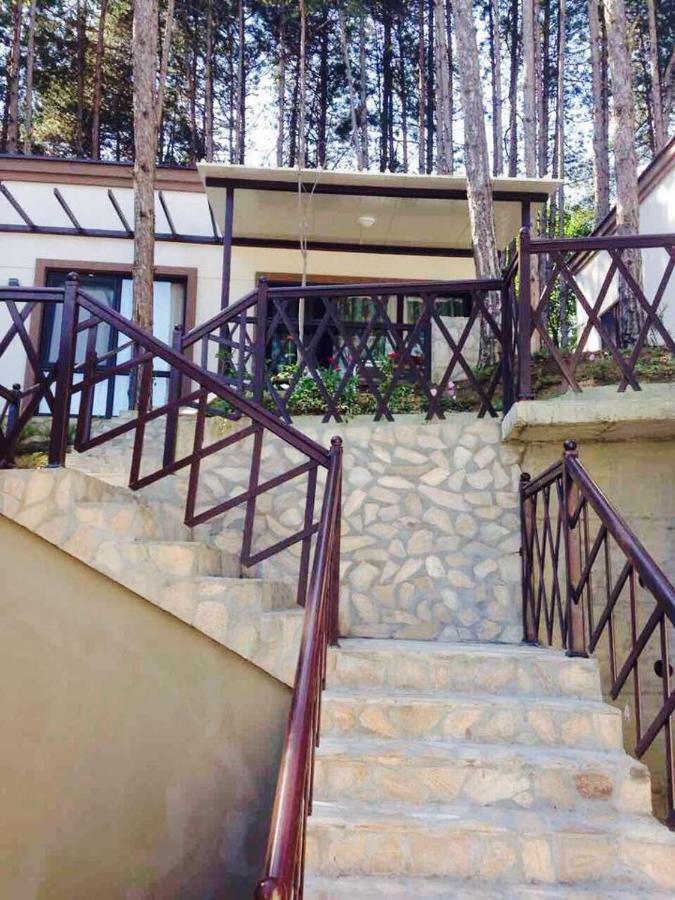 Dream View Hotel Бяла Екстериор снимка